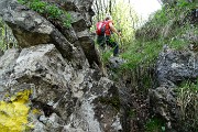 Monte Zucco (Direttissima / Sentiero Panoramico) da San Pellegrino Terme il 22 aprile 2016  - FOTOGALLERY